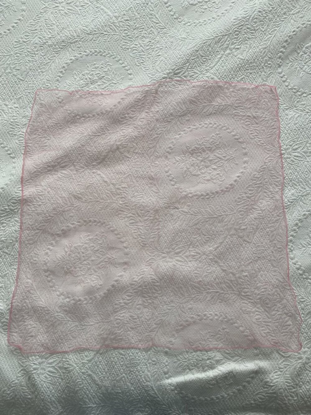 Pink Accent Scarf